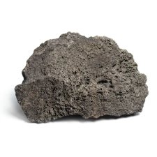 2785.jpg