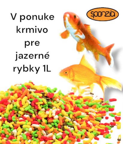 382977687 823001956500145 6117807666571988124 n