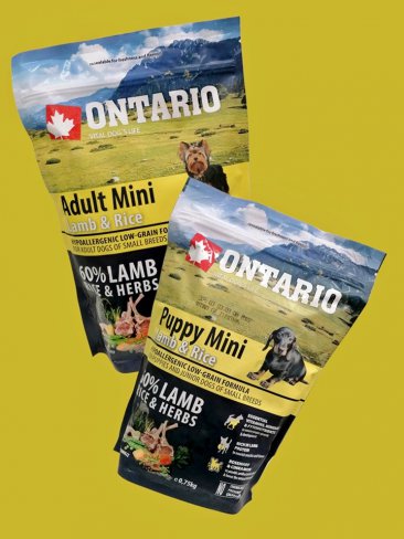 Ontario